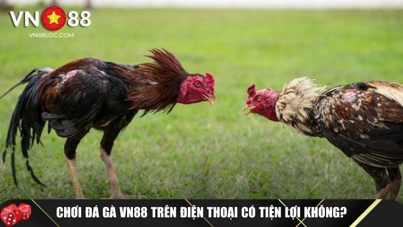 Những ưu điểm nổi bật khi chơi đá gà tại VN88 trên điện thoại
