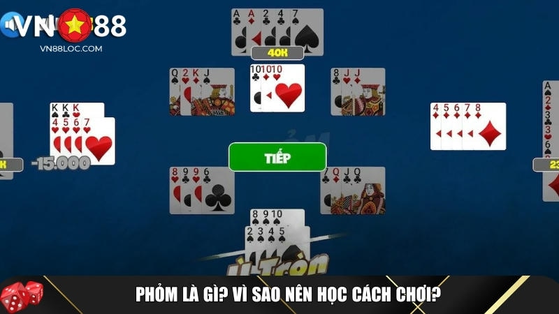 Giới thiệu tổng quan về phỏm cho người mới